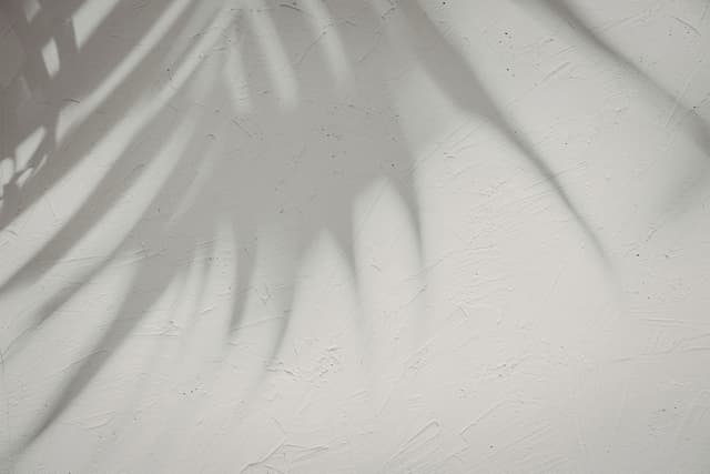 Grayt Skin Med Spa content