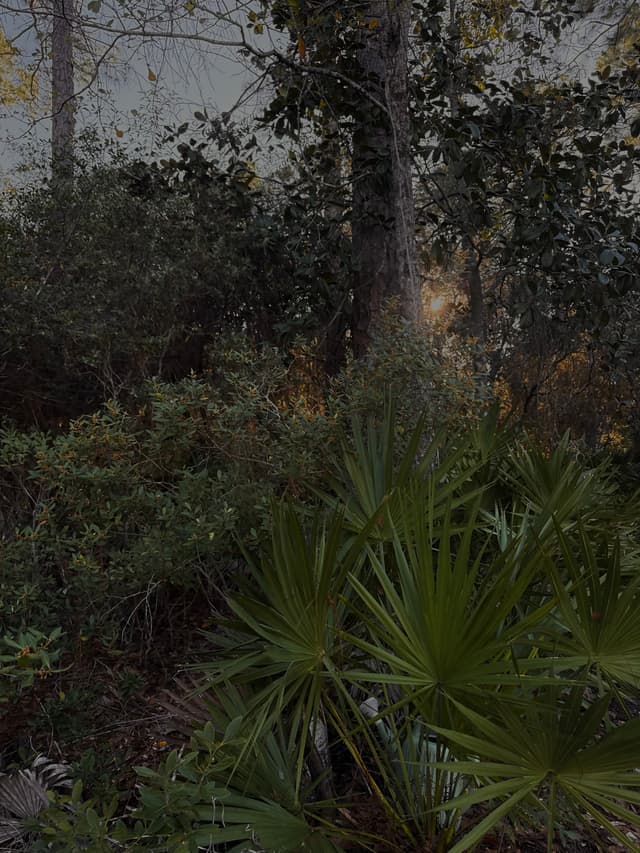 Grayt Skin Med Spa content